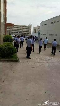 长汀五中爆料事件视频播放,视频揭露惊人真相