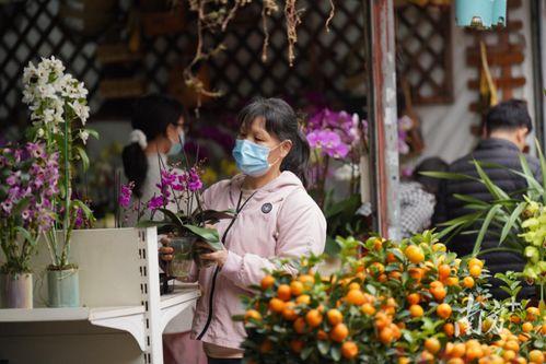 花街最新视频在线观看,精彩瞬间在线呈现，不容错过！